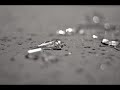 Rammstein - Schwarzes Glas / Black Glass