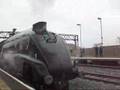 60019 Bittern 'The Severn Vally Phoenix' 19.4.08