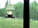 hummingbird feeder (1) hummingbird feeder (1)
