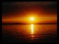 Sunny Tales