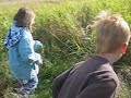 random in the grass