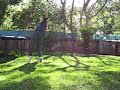 a double leg i threw after i got home from my last day of school ever... evar! wtfbbqhaxlol?!

if you're happy and you know it double leg!

*bark* *bark*, godamn dog!