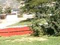 videos de FDAF