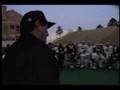 videos de C.U. Senior Hit Day