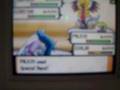 Pokemon Uber Double Battle