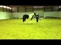 'A Fancy Image' lunging
