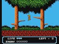 publication: tasvideos.org selected comments from the author: it is a gem of a platformer released only in japan. the controls have some prince of persia in them, but are not as demanding. the music is great and the graphics are pretty good. i'm surprised the game was never ported to the us or europe. the bosses of this game can be difficult due to a glitch that improperly resets the boss's vulnerability after being hit in certain circumstances.