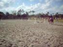 My First Horse Show 2/3/08