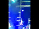 The National - Abel - live, FIB 2008