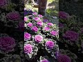 20160117 154650