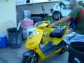 Dogs on Scooters - part 2 - setting off