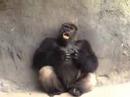Ethan Bortnick @ Miami Metro Zoo