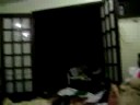 Q isso Q isso