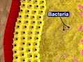 Acne-Causes and Treatment Acne-Causes and Treatment