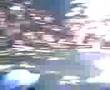 videos de chechu gaitero