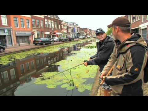 Visblad TV - IFISH Aflevering Snoek