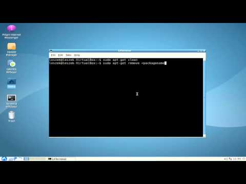 how to remove lubuntu