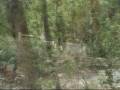 Freeride Mountain Biking Hobart