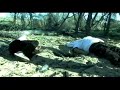 Isolated: Episode 1