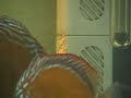 Discus Cleaning!