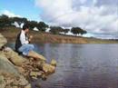 Carp on fly