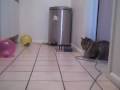 Created on April 6, 2009 using...