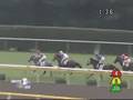 2008年7月26日 新潟5R 障害未勝利 マイネルスパークル