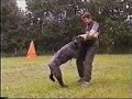 Bouvier des Flandres Int.Ch. Torro van t Megadam Bouvier des Flandres Int.Ch. Torro van t Megadam