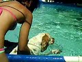 boby se baña en la piscina (L) boby se baña en la piscina (L)