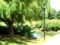 Madigan Army Hospital Grounds, Ft. Lewis, Washington State