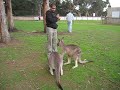 Nripendra The Kangaroo Master