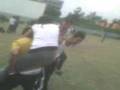 pelea de gallos
