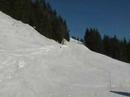 Skibike Saalbach/Hinterglemm