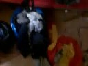 visita turistica por el cuarto de uri en pleno esplendor!!