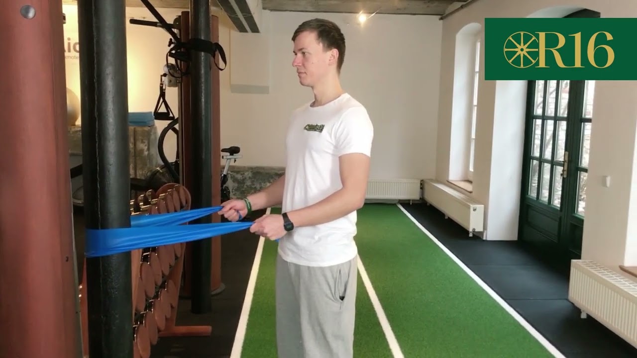 Ellbogen 1 - Triceps