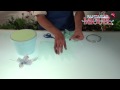 Centro de Mesa para Bebe