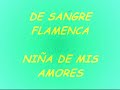 flamenco de sangre flamenca   niña de mis amores  maketa 