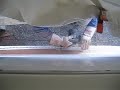 Fundraiser trip 130.avi