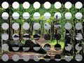 quelques images de bretagne sur un fond de musique du bagad ronsed mor.