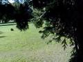 videos de 09102008    