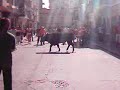 Bou al barri l\ Bou al barri l\