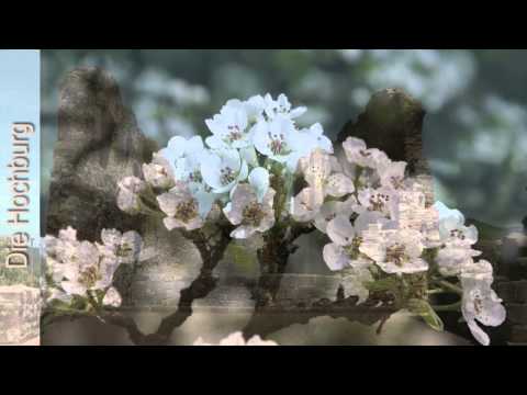 holgerson - Ein Video mit Aufnahmen und Musik von Rudolf Holgerson. Musik aus dem Album