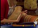 Doggy Derby on KOKH 25