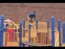 David Street Jumper