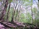 vtt freeride ardennais