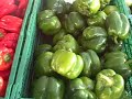 Farmers Market On the Square Waxahachie TX