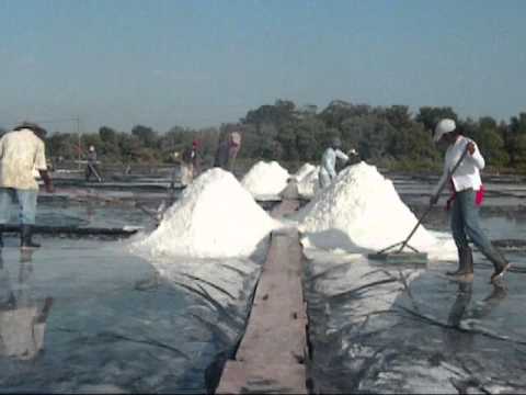 how to harvest your own sea salt