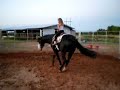 Little Girl spins Reining Horse Stud