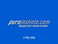puro instinto   video 27