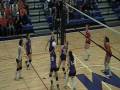 bls vs newton s 1